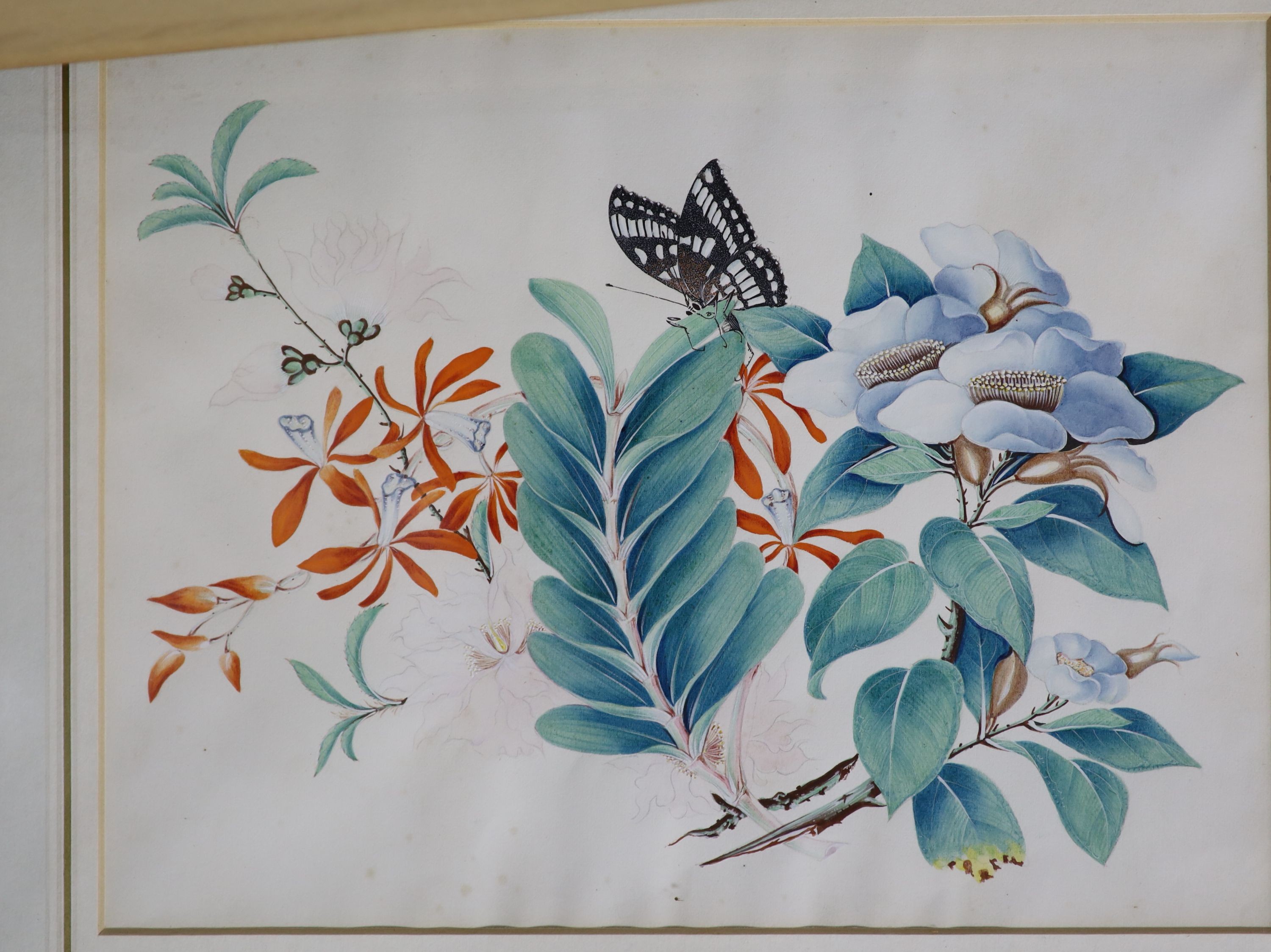 19th century English School, a set of eight watercolour and gouache botanical studies with butterflies, 20 x 27cm